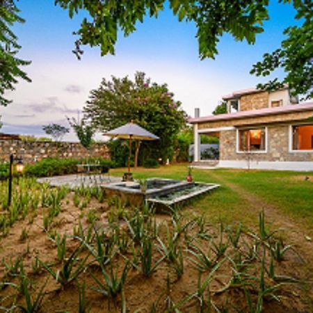 A Dog'S Story, Jaipur Bed and Breakfast Exterior foto